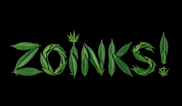 Zoinks Strain Review: A Powerfully Relaxing Indica-Dominant Hybrid