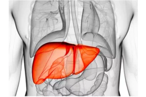 Your Gen X Weight Loss Plan: Reset Your Metabolism by Supporting Your Liver