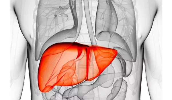 Your Gen X Weight Loss Plan: Reset Your Metabolism by Supporting Your Liver